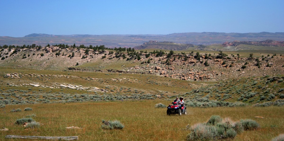 Property photo 25 - 92,312+/- Acres Offered in 14 Tracts